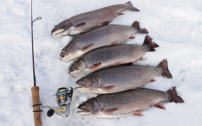 How To Handle Your Catch