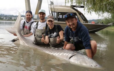 Sportfishing in B.C.