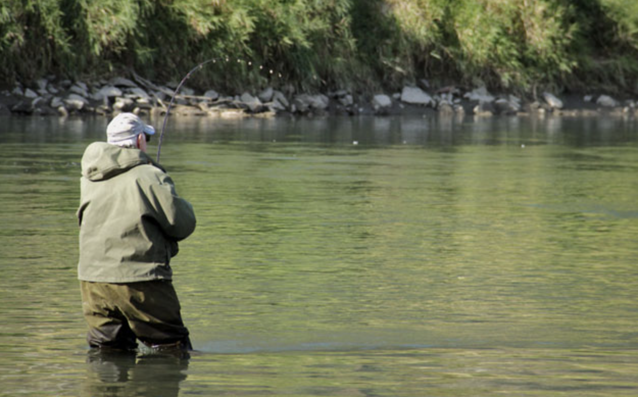 Screen Shot 2023-06-24 at 12.05.15 PM