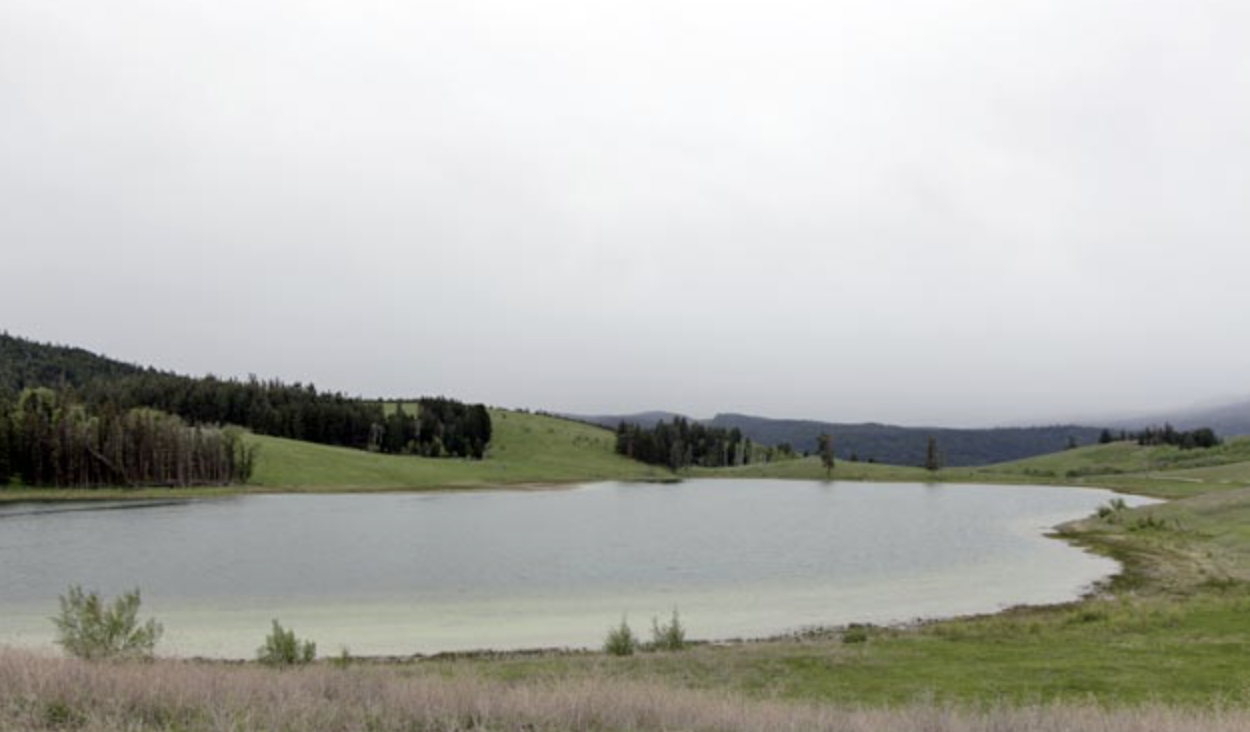 Screen Shot 2023-06-24 at 2.29.19 PM